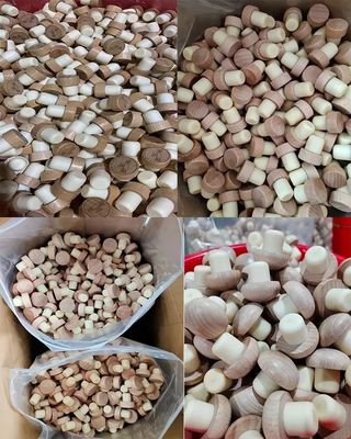 Customized Shape Holz- und Gummi-Weinkappen OEM/ODM für Flaschenverschlussstecker